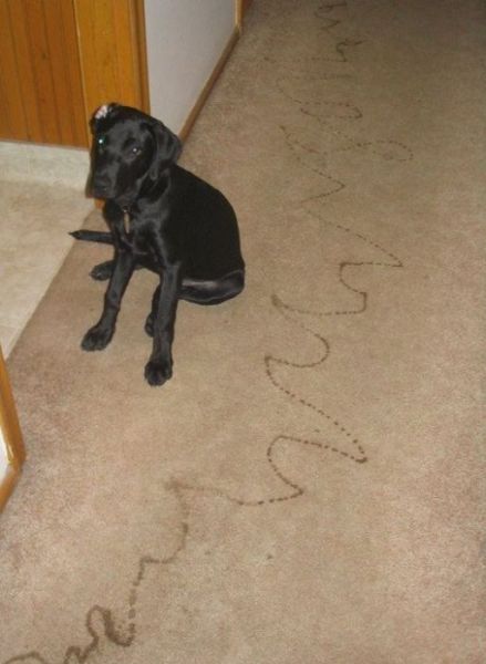 Morning Picdump