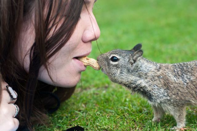 morning picdump 58 pics 1.html - 58 HD Photos | Premium Gallery 2012