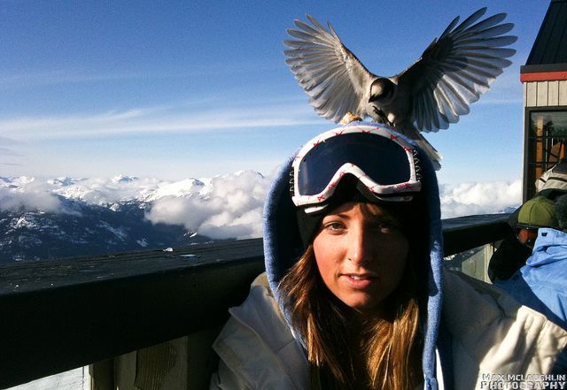 morning picdump 58 pics 1.html - 58 HD Photos | Premium Gallery 2012