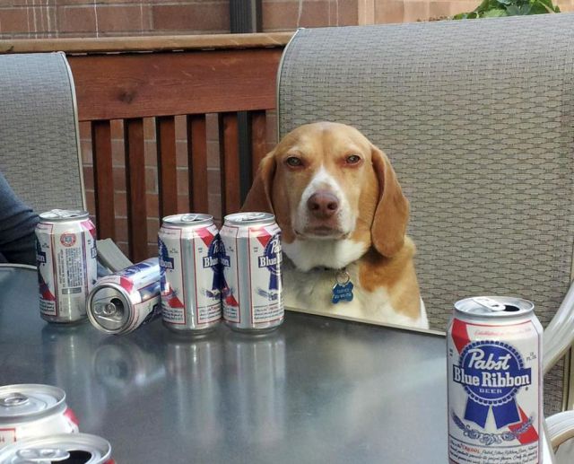 morning picdump 58 pics 1.html - 58 HD Photos | Premium Gallery 2012