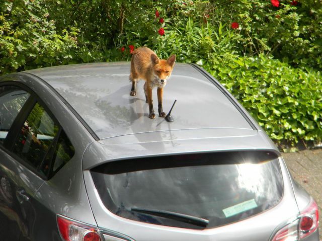 morning picdump 58 pics 1.html - 58 HD Photos | Premium Gallery 2012