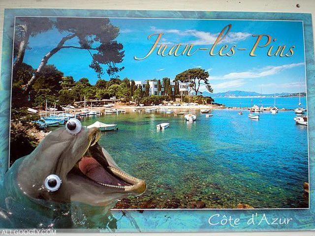 morning picdump 57 pics 2.html - 57 HD Photos | Premium Gallery 2012