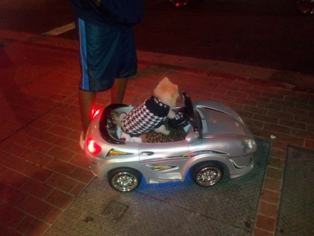 morning picdump 57 pics 2.html - 57 HD Photos | Premium Gallery 2012
