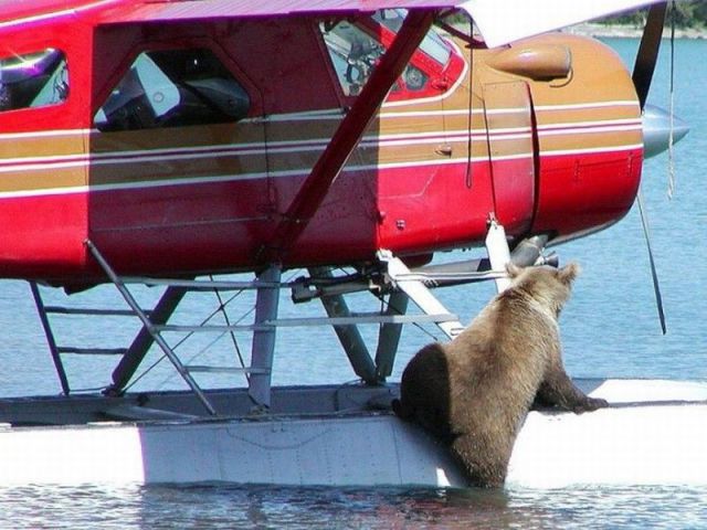 morning picdump 57 pics 2.html - 57 HD Photos | Premium Gallery 2012