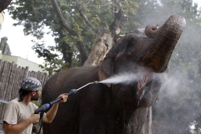 morning picdump 56 pics 6.html - 56 HD Photos | Premium Gallery 2012