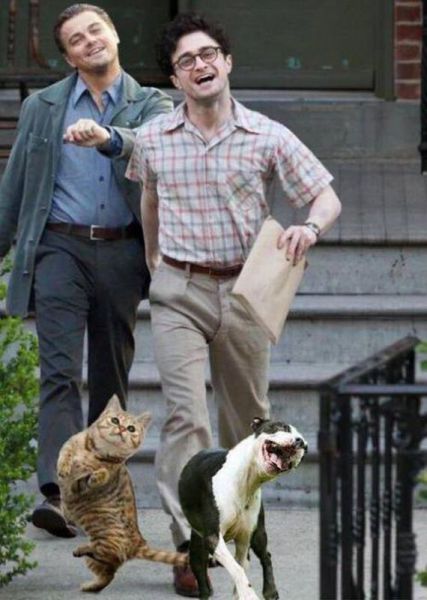 morning picdump 56 pics 6.html - 56 HD Photos | Premium Gallery 2012