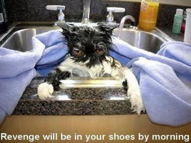 morning picdump 56 pics 6.html - 56 HD Photos | Premium Gallery 2012
