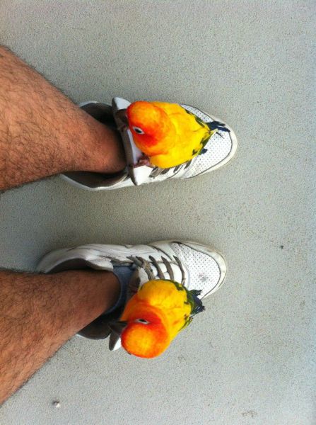 morning picdump 59 pics 41.html - 59 HD Photos | Premium Gallery 2012