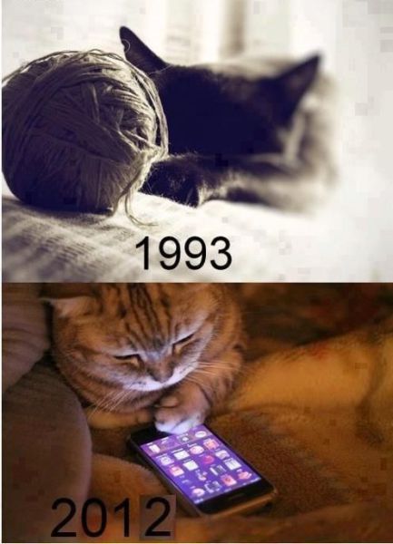 morning picdump 59 pics 41.html - 59 HD Photos | Premium Gallery 2012