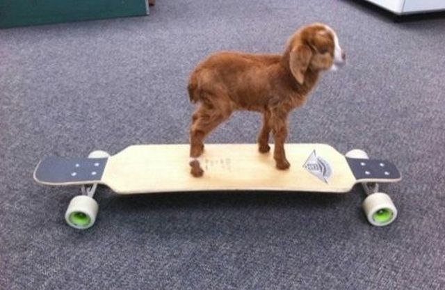 morning picdump 59 pics 41.html - 59 HD Photos | Premium Gallery 2012