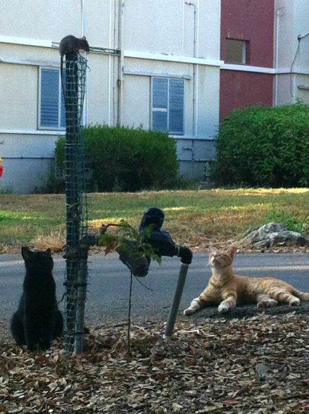 Morning Picdump