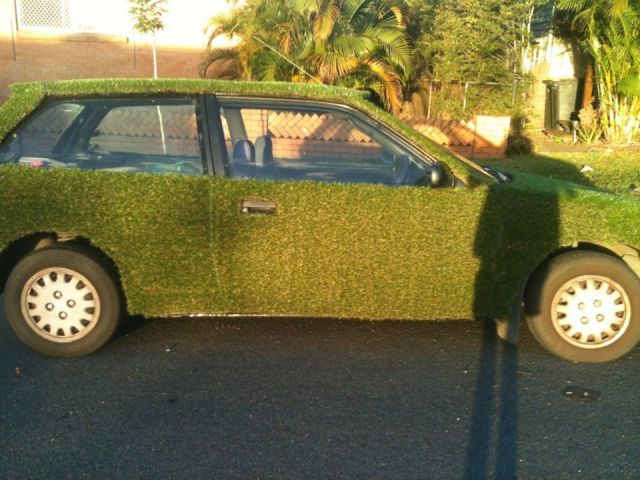Morning Picdump