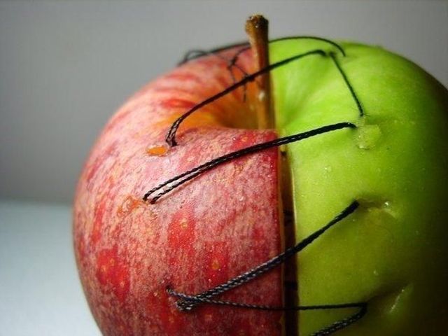 Morning Picdump
