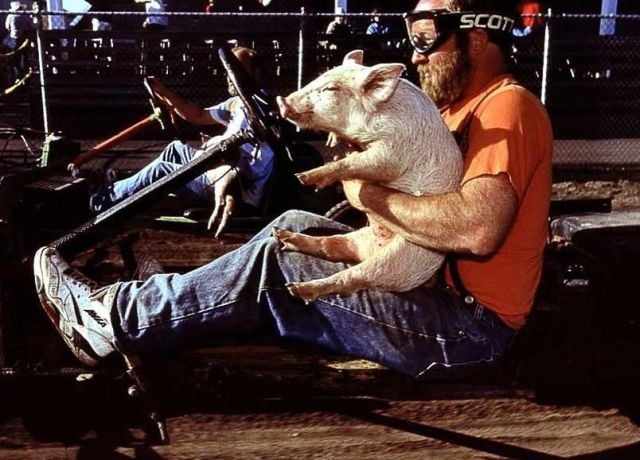 Daily Picdump