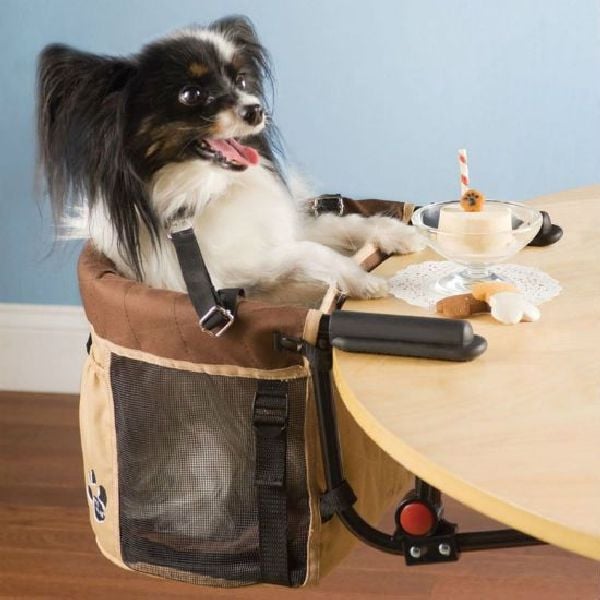 daily picdump 98 pics 14.html - 98 HD Photos | Premium Gallery 2012