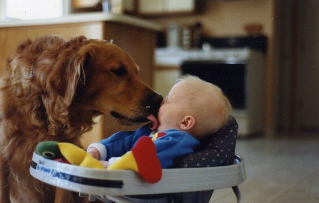 morning picdump 58 pics 27.html - 58 HD Photos | Premium Gallery 2012