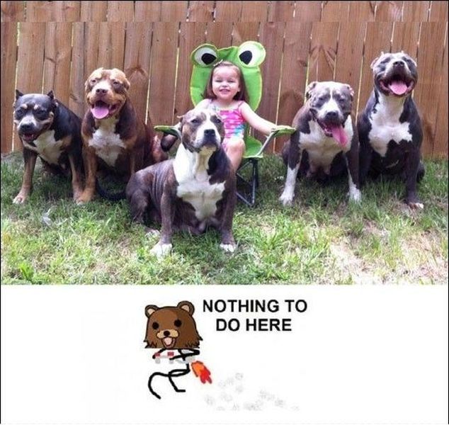 morning picdump 59 pics 10.html - 59 HD Photos | Premium Gallery 2012