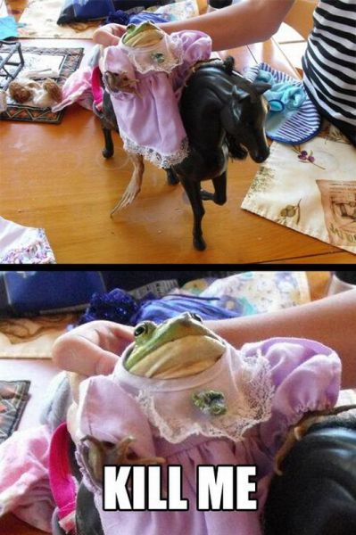 daily picdump weekend edition 106 pics 30.html - 106 HD Photos | Premium Gallery 2012