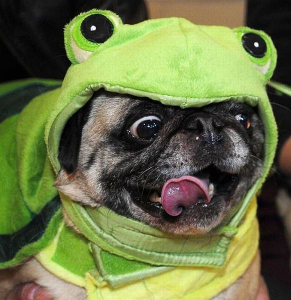 daily picdump weekend edition 106 pics 30.html - 106 HD Photos | Premium Gallery 2012