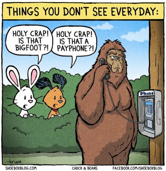morning picdump 54 pics 27.html - 54 HD Photos | Premium Gallery 2012