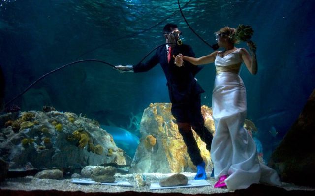 morning picdump 54 pics 27.html - 54 HD Photos | Premium Gallery 2012