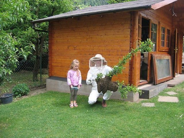 morning picdump 55 pics 1.html - 55 HD Photos | Premium Gallery 2012