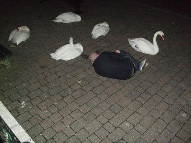 morning picdump 55 pics 1.html - 55 HD Photos | Premium Gallery 2012