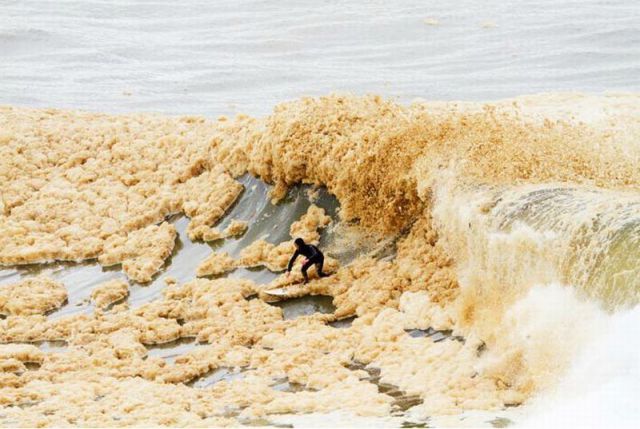 daily picdump 114 pics 35.html - 114 HD Photos | Premium Gallery 2012