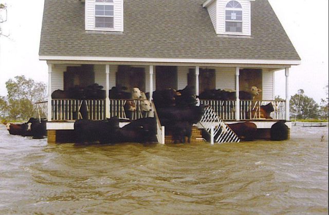 daily picdump 114 pics 35.html - 114 HD Photos | Premium Gallery 2012