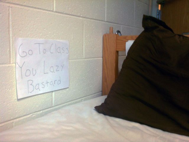 daily picdump 114 pics 35.html - 114 HD Photos | Premium Gallery 2012