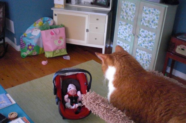 daily picdump 114 pics 35.html - 114 HD Photos | Premium Gallery 2012