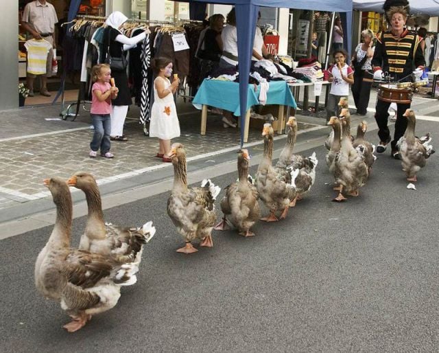 daily picdump 114 pics 35.html - 114 HD Photos | Premium Gallery 2012