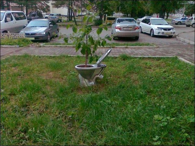 daily picdump 114 pics 35.html - 114 HD Photos | Premium Gallery 2012