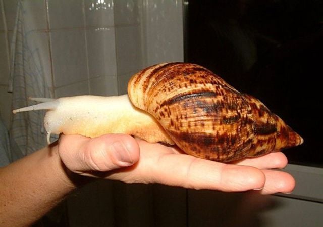 daily picdump 114 pics 35.html - 114 HD Photos | Premium Gallery 2012