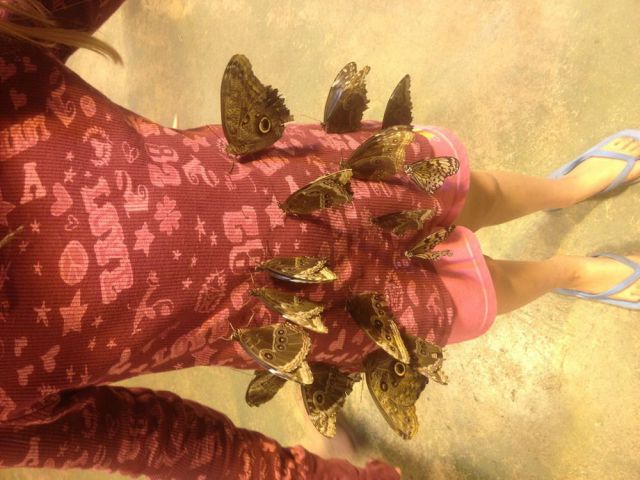 daily picdump 114 pics 35.html - 114 HD Photos | Premium Gallery 2012