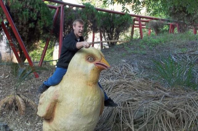 daily picdump 114 pics 35.html - 114 HD Photos | Premium Gallery 2012