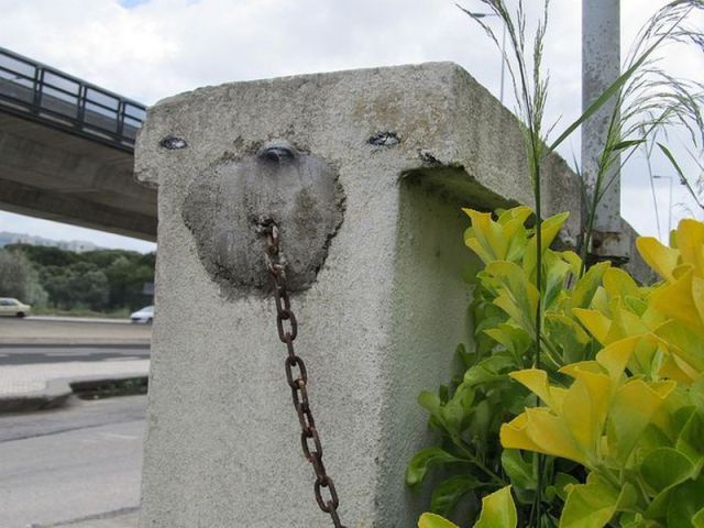 morning picdump 55 pics 12.html - 55 HD Photos | Premium Gallery 2012