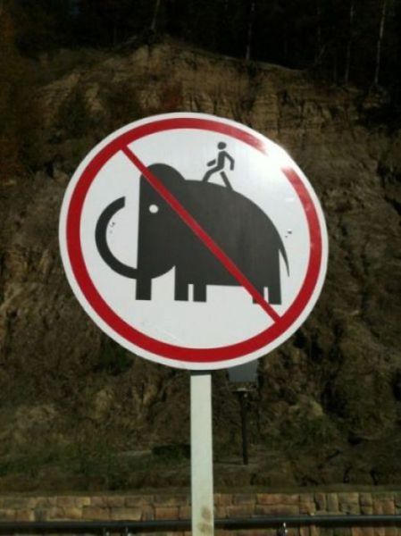 Public Signs: WTF? Part 18