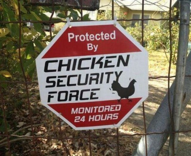 Public Signs: WTF? Part 18