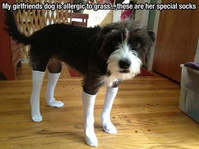 morning picdump 51 pics 27.html - 51 HD Photos | Premium Gallery 2012