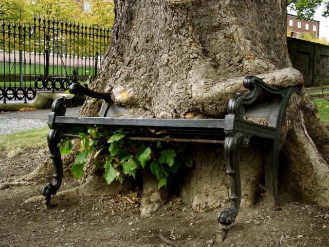 morning picdump 54 pics 48.html - 54 HD Photos | Premium Gallery 2012