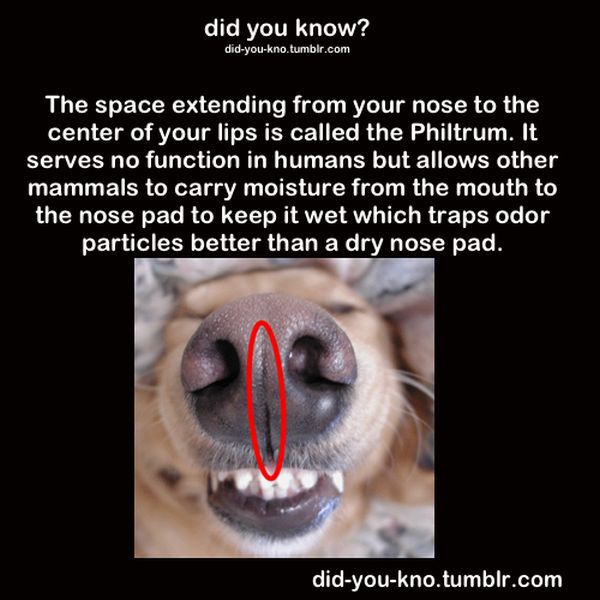 Fascinating Trivia That’s Good to Know