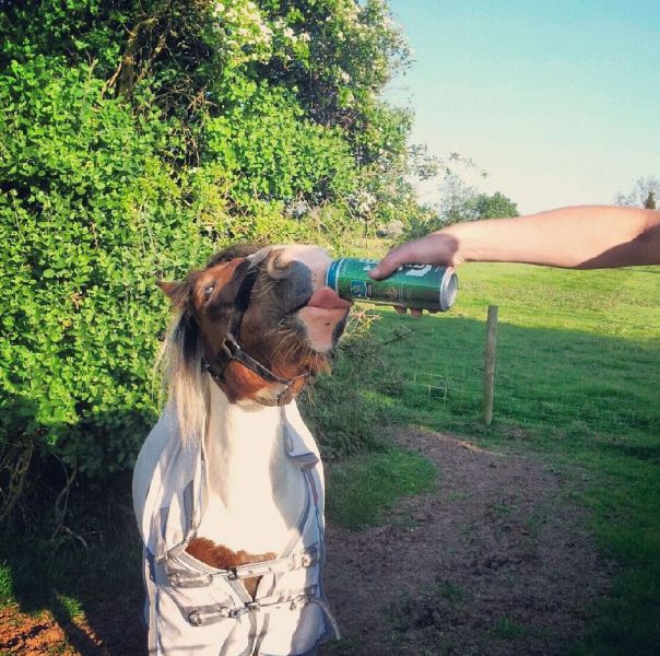 morning picdump 55 pics 5.html - 55 HD Photos | Premium Gallery 2013