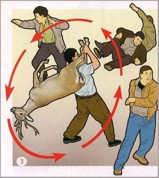 Morning Picdump