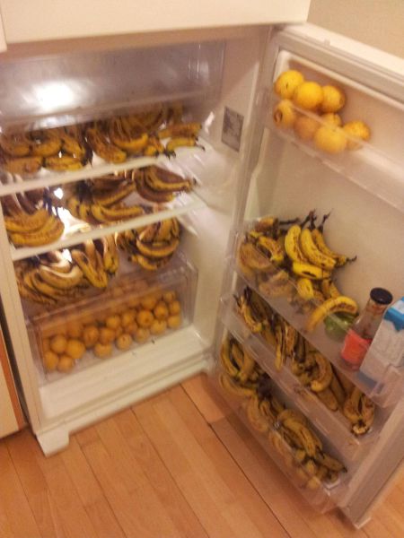 Morning Picdump