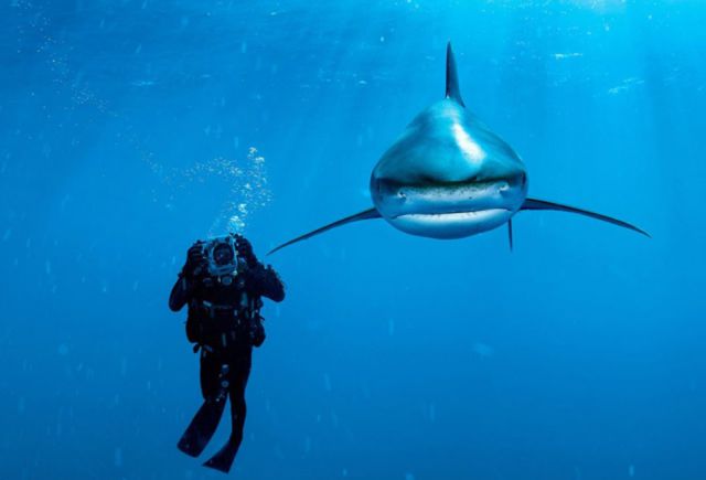 Amazing Photos of Animals Caught in the Act
