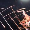 2 guys rock acdcs thunderstruck with cellos.html - 1 HD Gallery | Premium Gallery 2014
