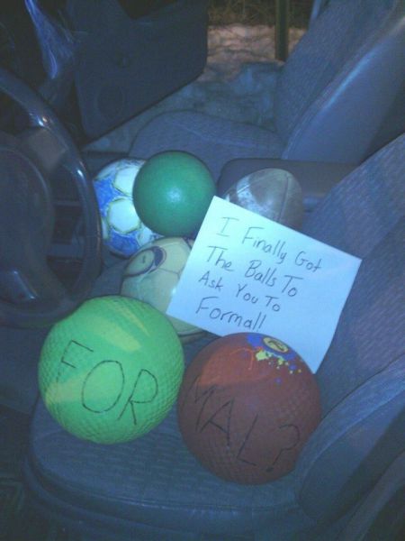 Morning Picdump