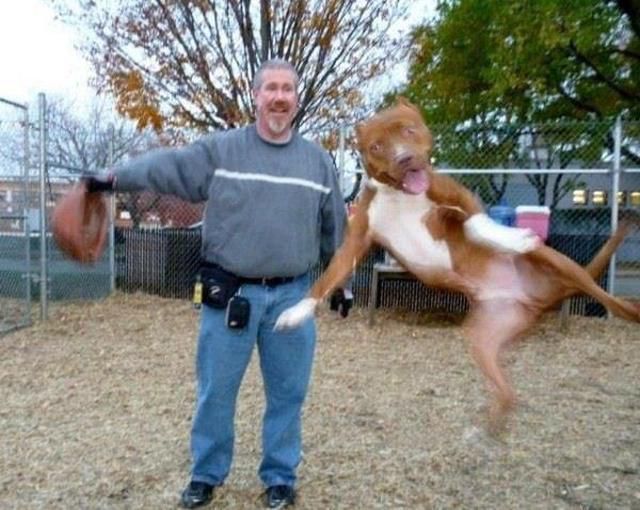 Morning Picdump
