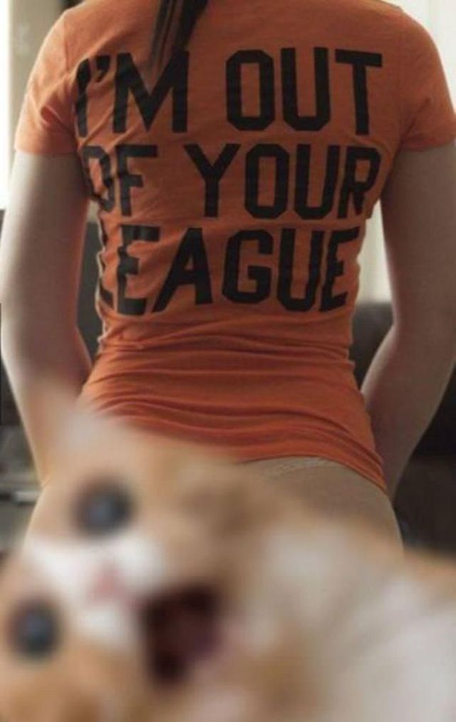 Morning Picdump